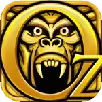 魔境仙踪破解版