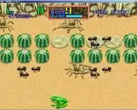 街机游戏青蛙觅食破解版