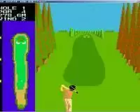 高尔夫球公开赛街机游戏