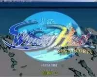 世嘉冬季运动会游戏