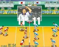 世界杯排球95球类街机游戏