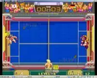 野外排球 超级飞碟球