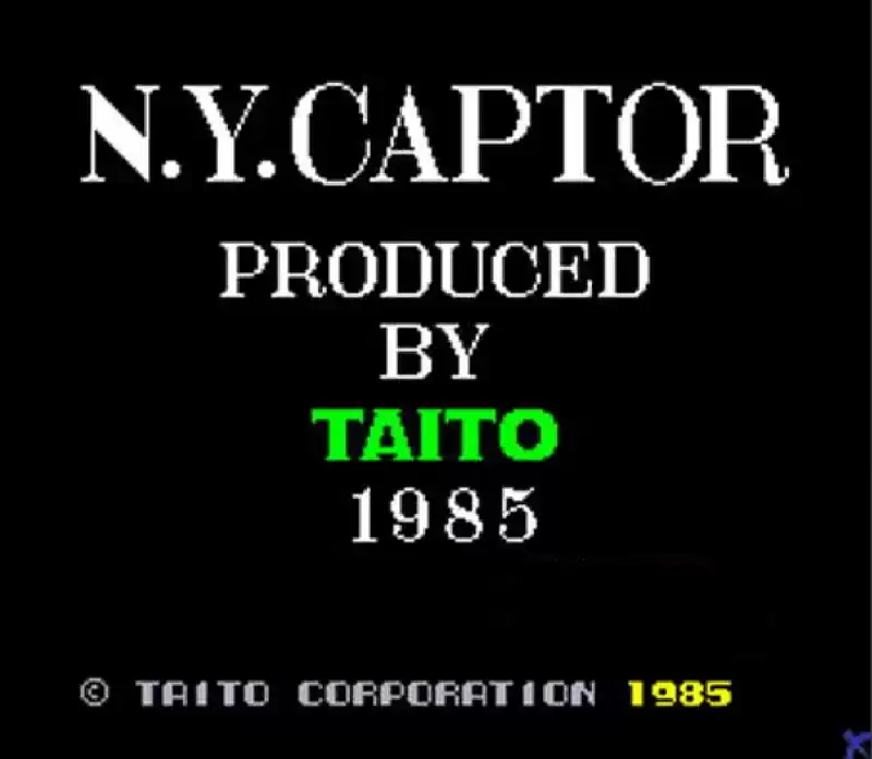 纽约绑匪 N.Y. Captor