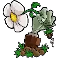 植物大战僵尸