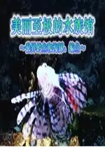 极美丽水族馆世界鱼类海豚和鲸鱼