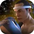 跆拳道对决泰拳