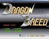 龙族少年街机模拟器游戏