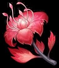 《原神》稻妻特产分布位置介绍