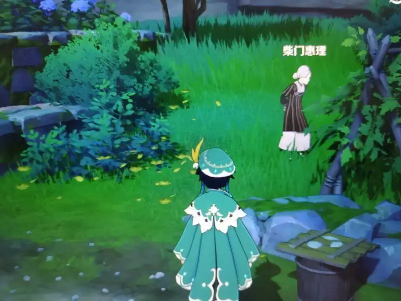 《原神》绀田事话流程攻略