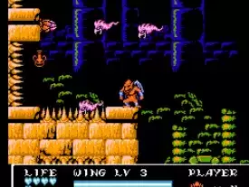 魔界村外传红魔冒险2游戏