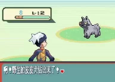 口袋妖怪红宝石386海皇牙强化版apk