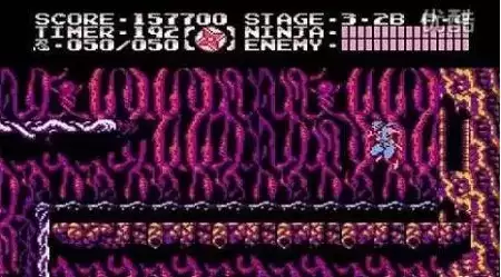 忍者龙剑传3无限生命