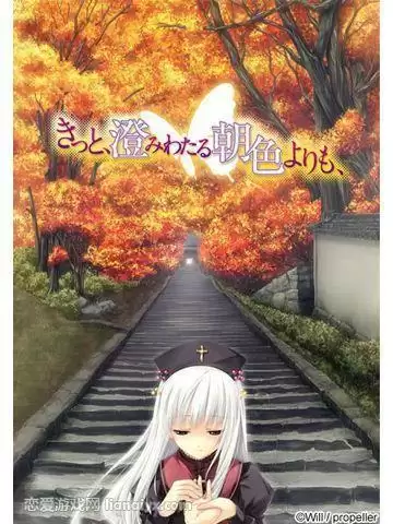 从晴朗的朝色泛起之际开始