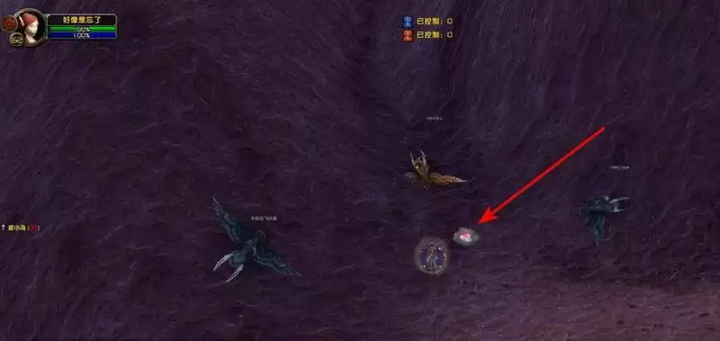 魔兽世界捉小鸟任务怎么做