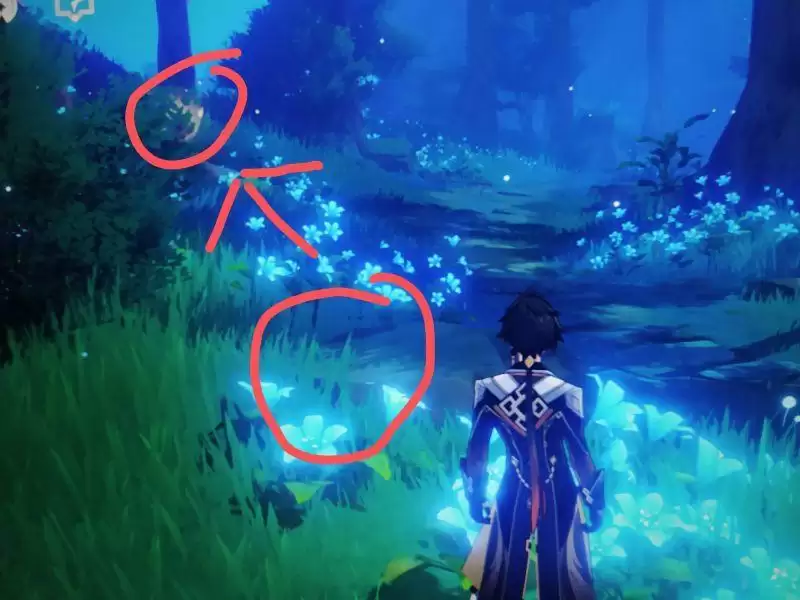 《原神》寻找奇怪声音的源头任务图文攻略