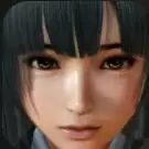 家族崩坏中文版