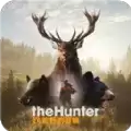 猎人荒野的召唤