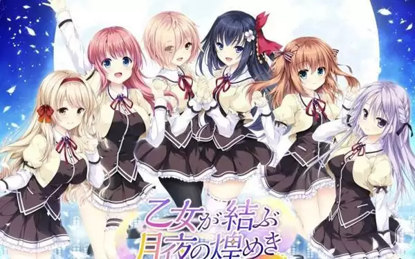 乙女が結ぶ月夜の煌めき 汉化版（全CG档+攻略）