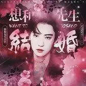 想和先生结婚破解版