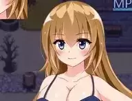 修女赛丽奴的夜行一善汉化版