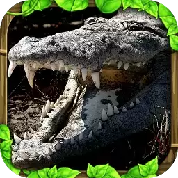 鳄鱼模拟