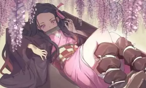 鬼灭之刃祢豆子 鬼灭之刃祢豆子