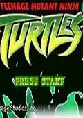 忍者神龟A