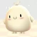 小鸡大作战