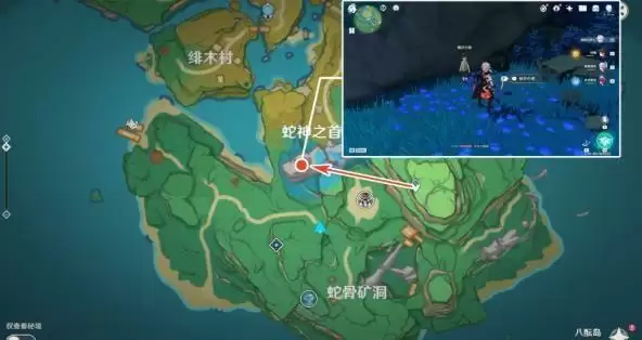 《原神》稻妻鲸井小弟位置分享