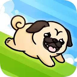 跑跑狗狗