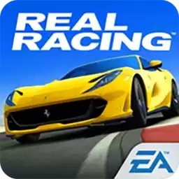 RealRacing3本