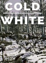 TheColdWhite中文版