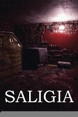 SALIGIA免安装绿色版
