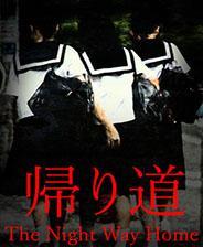 回家的夜路游戏库