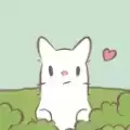 猫汤
