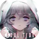 灵魂潮汐wiki正式