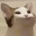 popcatclick