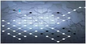 《灵魂潮汐》2-3无光树林100％探索攻略