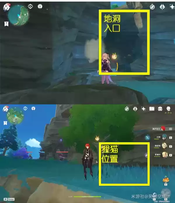 原神稻妻狸猫位置一览