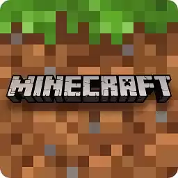 我的世界Minecraft国际