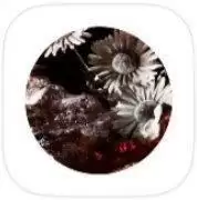 bts病态绮丽橙光