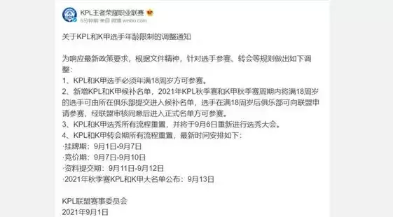 《王者荣耀》KPL未成年职业选手一览