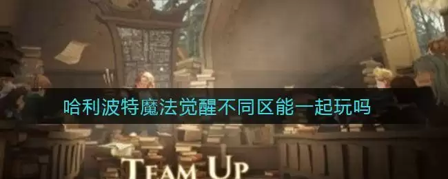 哈利波特魔法觉醒不同区能一起玩吗