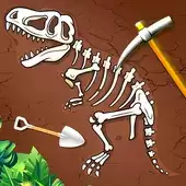 考古挖化石发现