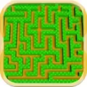 迷宫游戏行走专家