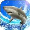 鲨鱼垂钓大师