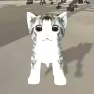 办公室的猫咪手机