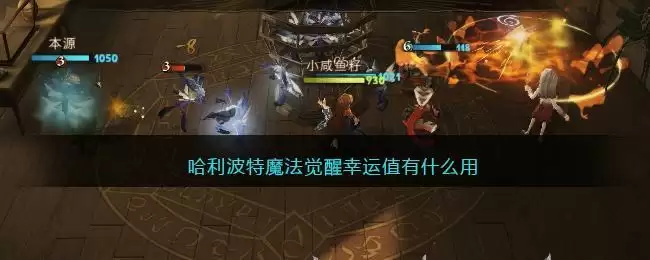 哈利波特魔法觉醒幸运值有什么用