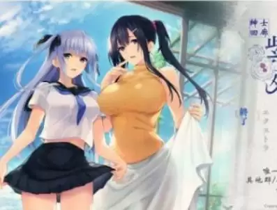 水莲与紫苑攻略