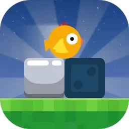 小鸟不会飞小